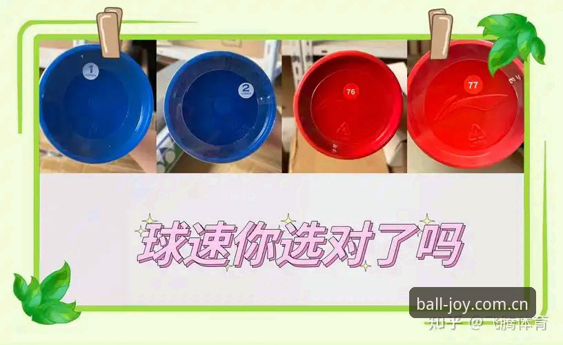 揭秘球速体育平台：官方登录入口使用指南背后的真相